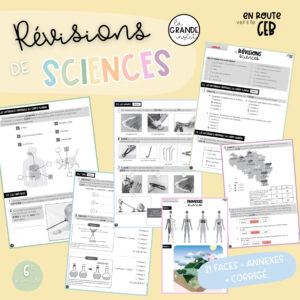 RÉVISIONS CEB - Sciences