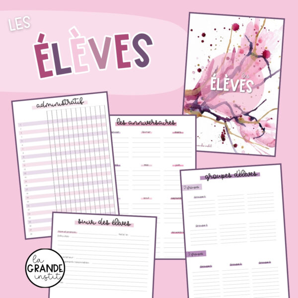 Journal de classe 2025/2026 - rose
