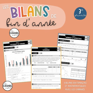 BILANS DE FIN D'ANNÉE - 3e primaire