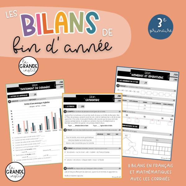 BILANS DE FIN D'ANNÉE - 3e primaire