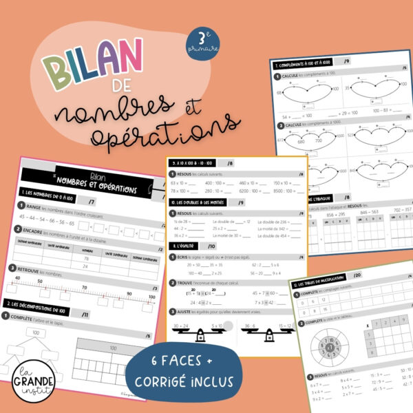 BILANS DE FIN D'ANNÉE - 3e primaire