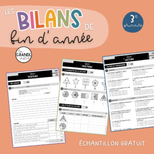 BILANS DE FIN D'ANNÉE - 3e primaire - échantillon gratuit
