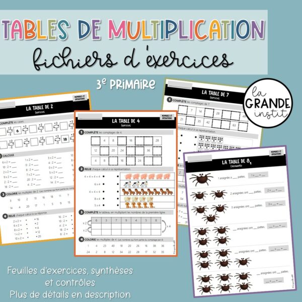 FICHIERS D'EXERCICES - 3e primaire - PACK !