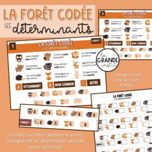 LES DÉTERMINANTS - La forêt codée