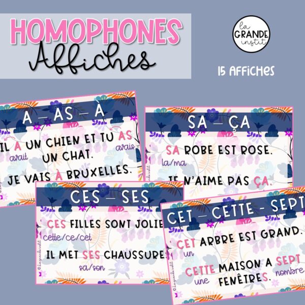 Diapositive67 HOMOPHONES - Affiches