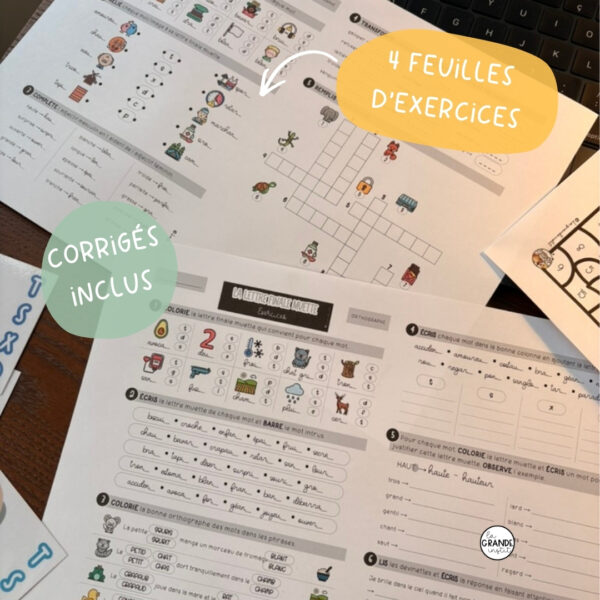 LETTRES FINALES MUETTES - Leçon