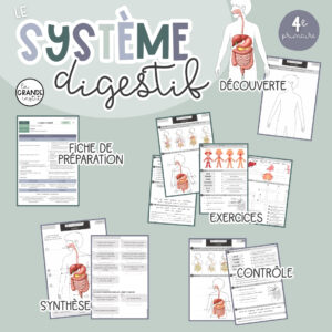 SYSTEME DIGESTIF - Leçon