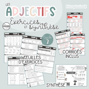 ADJECTIFS - Exercices + synthèse